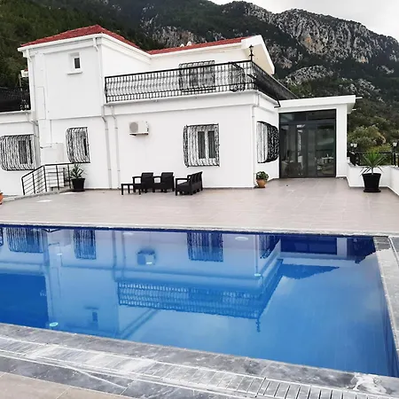 Australian In , Sleeps Up To 12 Persons , New To The Villa